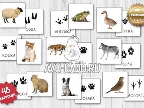 Карточки следы животных распечатать