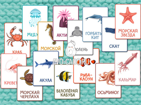 Карточки морские животные