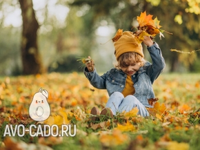 Загадки про осень