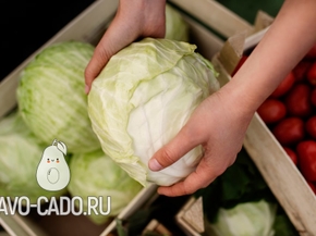 Загадки про капусту